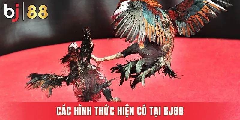 Các hình thức hiện có tại Bj88