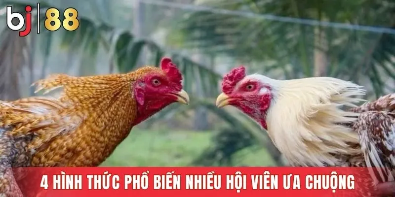 4 hình thức phổ biến nhiều hội viên ưa chuộng