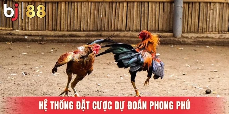 Hệ thống đặt cược dự đoán phong phú
