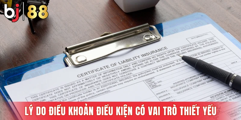 Lý do điều khoản điều kiện có vai trò thiết yếu