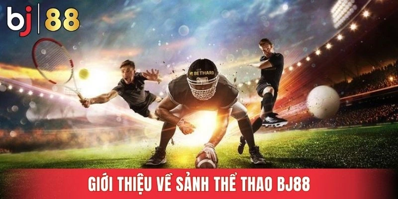 Sảnh cược thể thao chuyên nghiệp, tiện lợi và an toàn