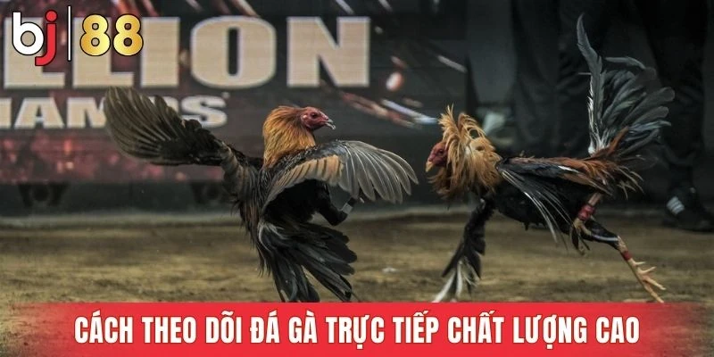 Truy cập sảnh đá gà dễ dàng trong vài thao tác